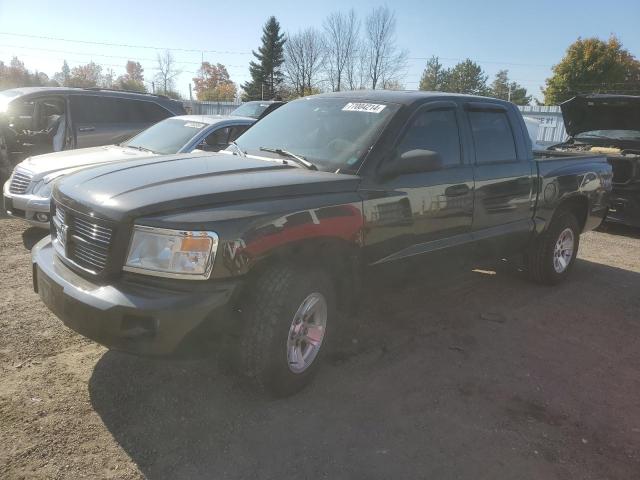 DODGE DAKOTA SXT 2010 with VIN 1D7CW3GK3AS264409 - Photo from auction