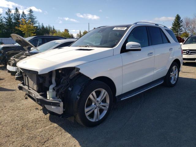 MERCEDES-BENZ ML 350 BLU 2014 with VIN 4JGDA2EB3EA375303 - Photo from auction