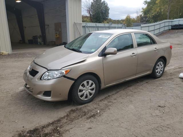 TOYOTA COROLLA BA 2010 with VIN 2T1BU4EE0AC458329 - Photo from auction