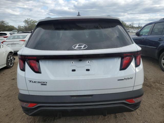 Photo 6 from auction – 2024 HYUNDAI TUCSON BLU with VIN KM8JBCD16RU194926