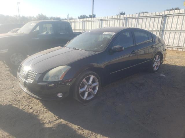 NISSAN MAXIMA SE 2004 with VIN 1N4BA41E34C887739 - Photo from auction