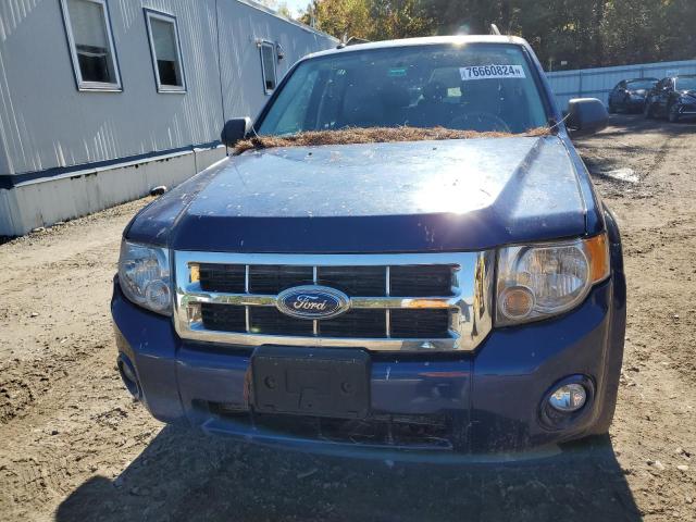 Photo 5 from auction – 2008 FORD ESCAPE XLT with VIN 1FMCU93138KD67092
