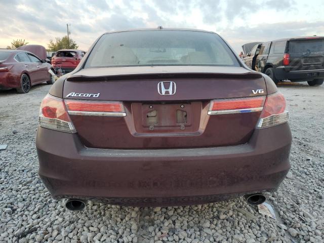Photo 6 from auction – 2011 HONDA ACCORD EXL with VIN 1HGCP3F87BA000020