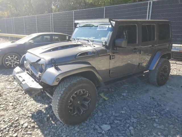 JEEP WRANGLER U 2017 with VIN 1C4BJWDG8HL562576 - Photo from auction