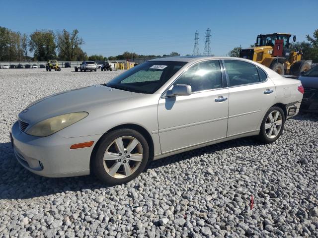 LEXUS ES 330 2005 with VIN JTHBA30G655061186 - Photo from auction