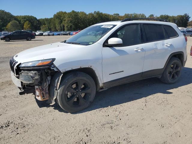 JEEP CHEROKEE L 2018 with VIN 1C4PJMDX2JD600233 - Photo from auction