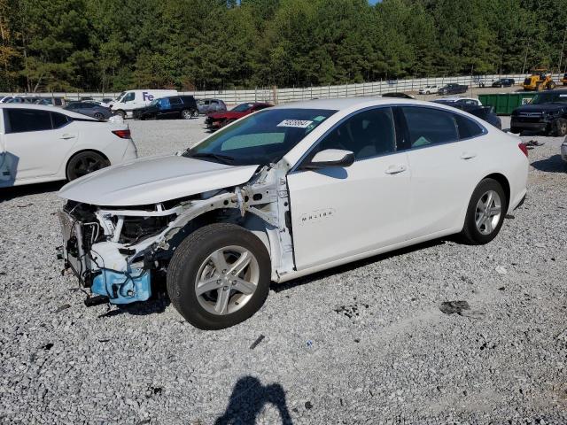 CHEVROLET MALIBU LS 2024 with VIN 1G1ZC5ST0RF196320 - Photo from auction