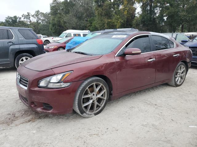 NISSAN MAXIMA S 2009 with VIN 1N4AA51E89C826539 - Photo from auction