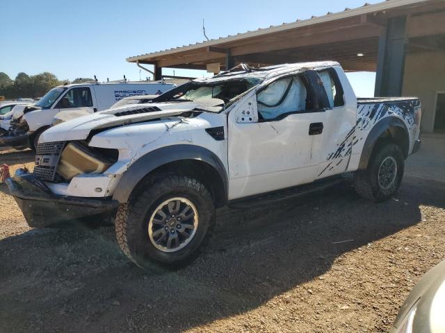 FORD F150 SUPER 2010 with VIN 1FTEX1E61AFD61286 - Photo from auction