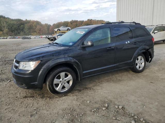 DODGE JOURNEY SX 2010 with VIN 3D4PG5FV0AT191436 - Photo from auction