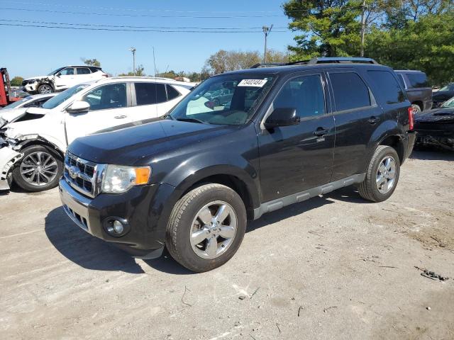 FORD ESCAPE LIM 2011 with VIN 1FMCU9EG0BKA54218 - Photo from auction