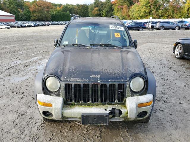 Photo 5 from auction – 2003 JEEP LIBERTY SP with VIN 1J4GL48K33W500359