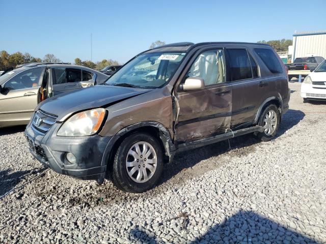 HONDA CR-V EX 2006 with VIN JHLRD68846C017841 - Photo from auction