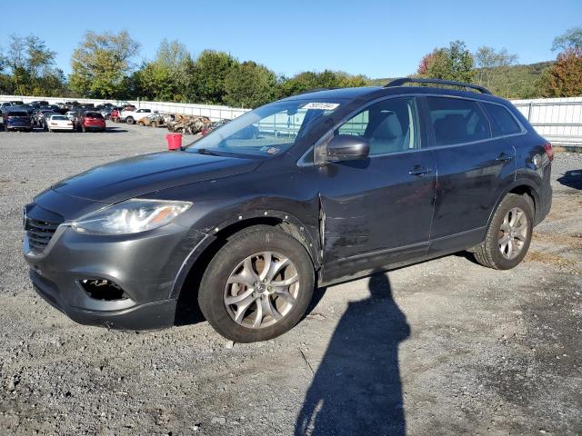 MAZDA CX-9 SPORT 2015 with VIN JM3TB3BV3F0455040 - Photo from auction