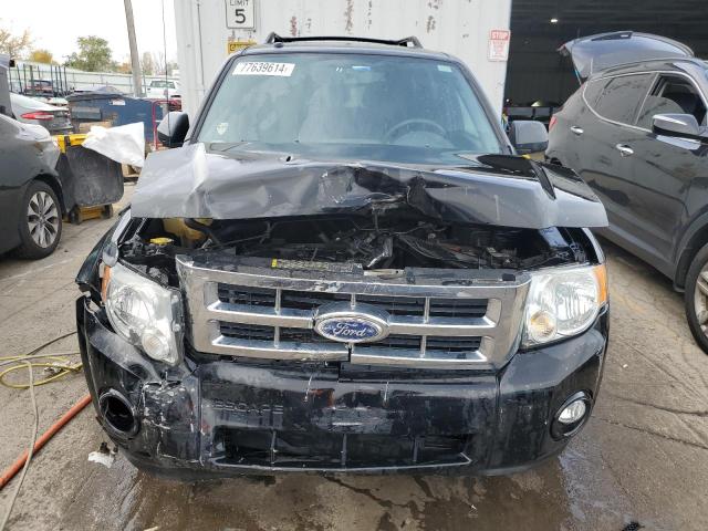 Photo 5 from auction – 2010 FORD ESCAPE XLT with VIN 1FMCU0D76AKC07471