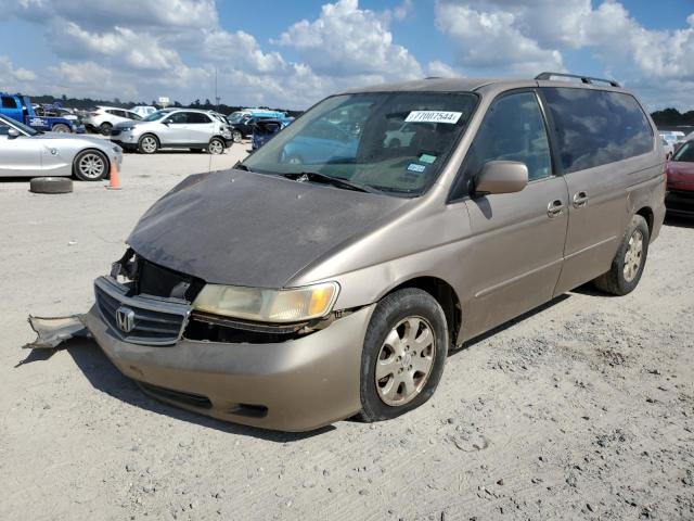 HONDA ODYSSEY EX 2003 with VIN 5FNRL18613B048173 - Photo from auction