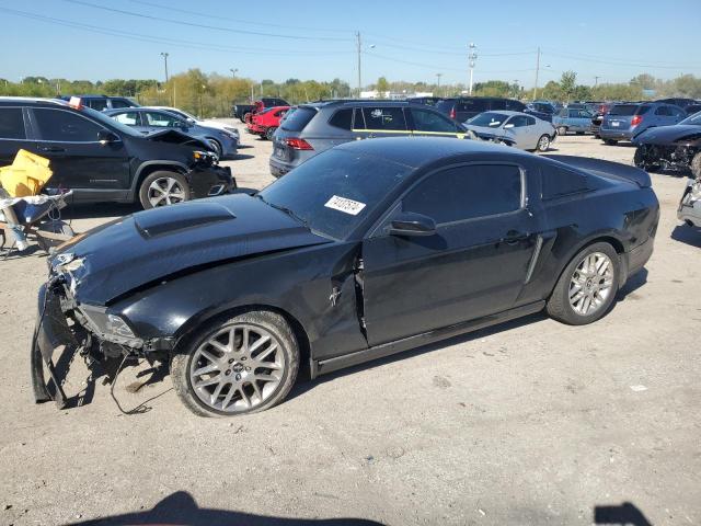 FORD MUSTANG 2014 with VIN 1ZVBP8AMXE5259266 - Photo from auction