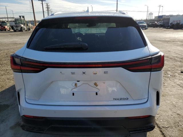 Photo 6 from auction – 2024 LEXUS NX 250 PRE with VIN 2T2GDCAZ4RC012524