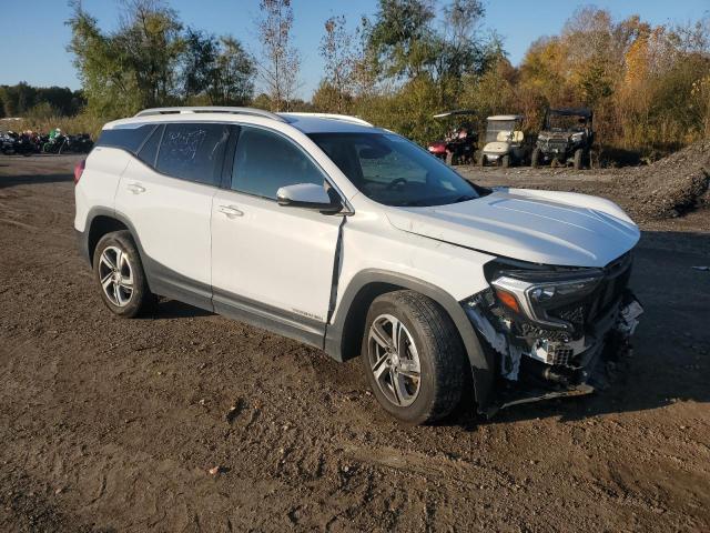 Photo 4 from auction – 2021 GMC TERRAIN SL with VIN 3GKALVEV2ML301704