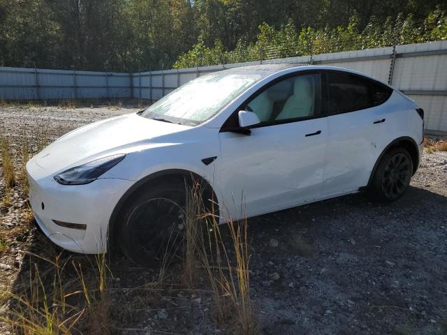 TESLA MODEL Y 2024 with VIN 7SAYGDEE7RF993704 - Photo from auction