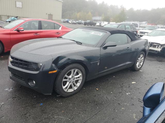 CHEVROLET CAMARO LT 2013 with VIN 2G1FB3D39D9120913 - Photo from auction