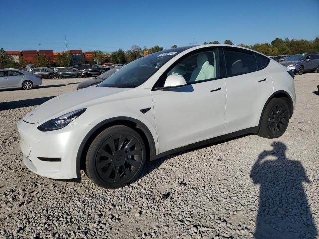 TESLA MODEL Y 2022 with VIN 7SAYGAEE6NF505383 - Photo from auction