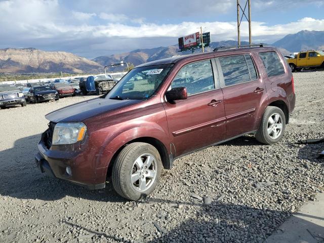 HONDA PILOT EX 2011 with VIN 5FNYF4H46BB088718 - Photo from auction