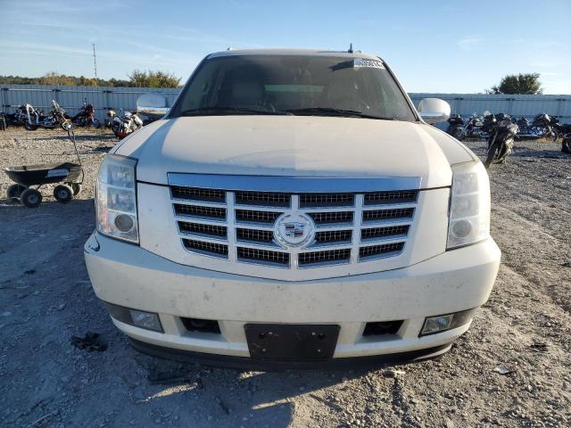 Photo 5 from auction – 2010 CADILLAC ESCALADE E with VIN 1GYUKJEF0AR163978