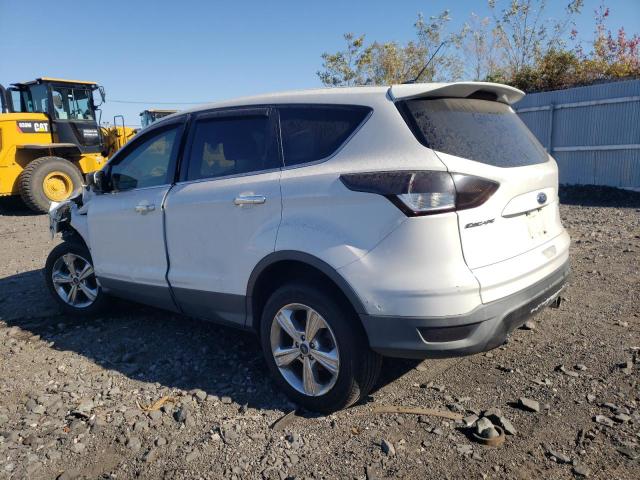 Photo 2 from auction – 2013 FORD ESCAPE SE with VIN 1FMCU0GX4DUC48041