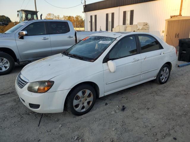 KIA SPECTRA EX 2009 with VIN KNAFE221295607186 - Photo from auction