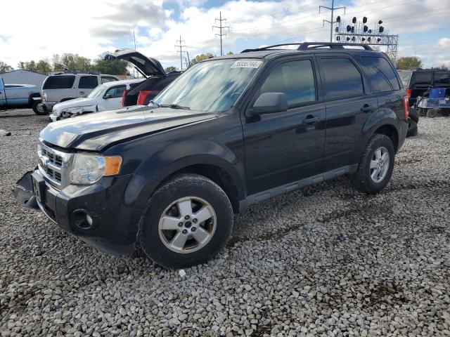 Photo 1 from auction – 2010 FORD ESCAPE XLT with VIN 1FMCU0DG5AKB21505
