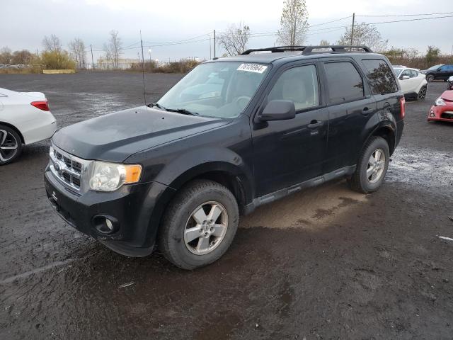 Photo 1 from auction – 2010 FORD ESCAPE XLT with VIN 1FMCU9DG7AKC39432