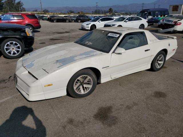 PONTIAC FIREBIRD 1989 with VIN 1G2FS21S5KL248380 - Photo from auction