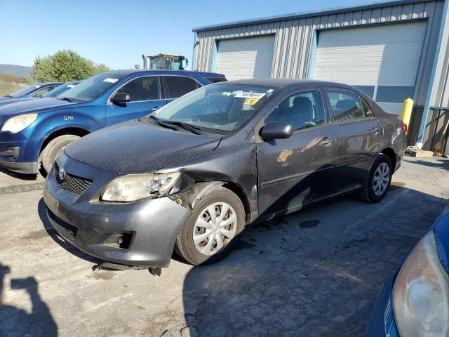 TOYOTA COROLLA BA 2010 with VIN 1NXBU4EE6AZ374868 - Photo from auction