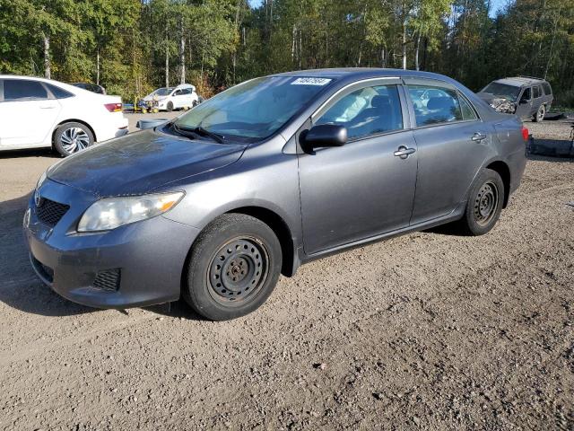 TOYOTA COROLLA BA 2010 z numerem VIN 2T1BU4EE6AC256501 - Zdjęcie z aukcji