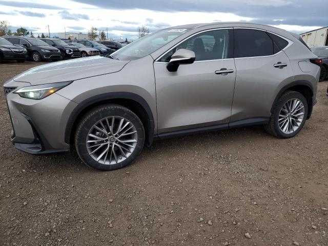 LEXUS NX 350H 2022 with VIN 2T2GKCEZ0NC008934 - Photo from auction