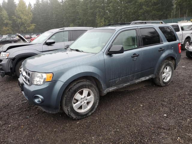 FORD ESCAPE XLT 2012 with VIN 1FMCU0D70CKC18484 - Photo from auction