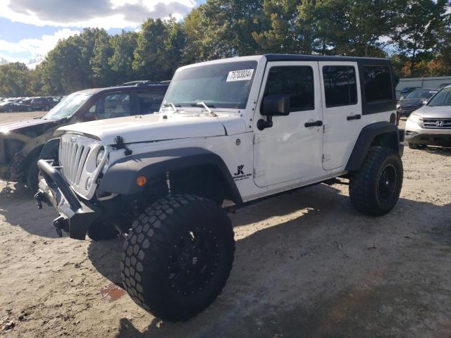 JEEP WRANGLER U 2017 with VIN 1C4BJWDG0HL622348 - Photo from auction