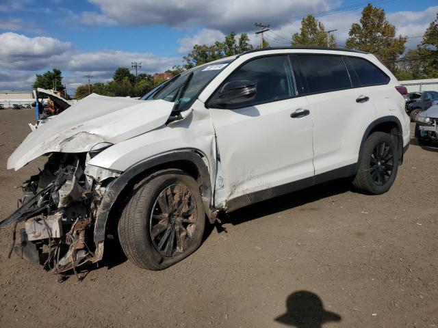 TOYOTA HIGHLANDER 2019 with VIN 5TDJZRFH6KS976019 - Photo from auction