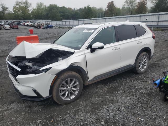 HONDA CR-V EXL 2023 with VIN 2HKRS4H71PH437609 - Photo from auction