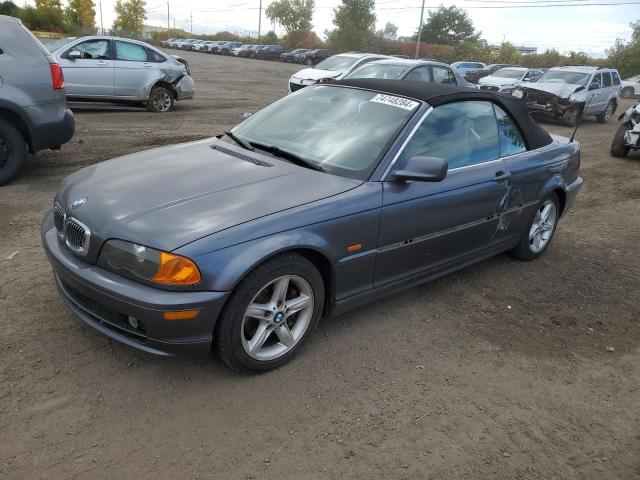BMW 325 CI 2003 with VIN WBABS33493PG89518 - Photo from auction
