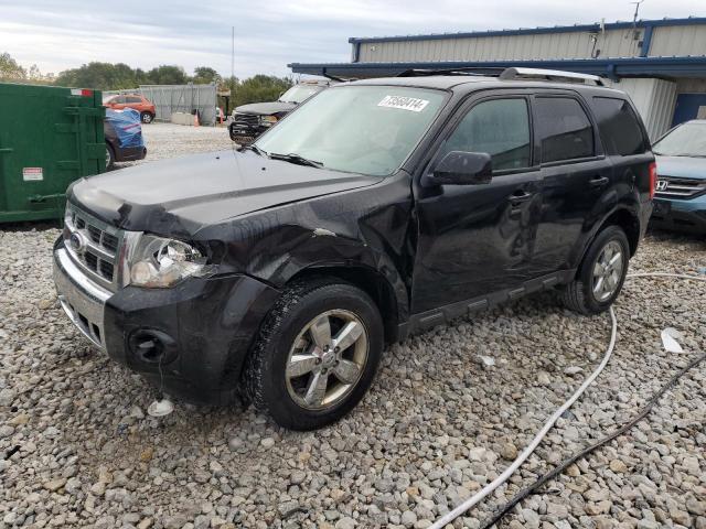 Photo 1 from auction – 2010 FORD ESCAPE LIM with VIN 1FMCU9EG1AKB07605