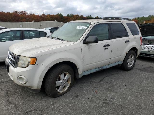 FORD ESCAPE XLT 2009 with VIN 1FMCU93G39KC40946 - Photo from auction