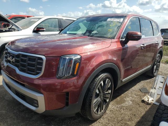 KIA TELLURIDE 2023 with VIN 5XYP5DGC2PG334817 - Photo from auction