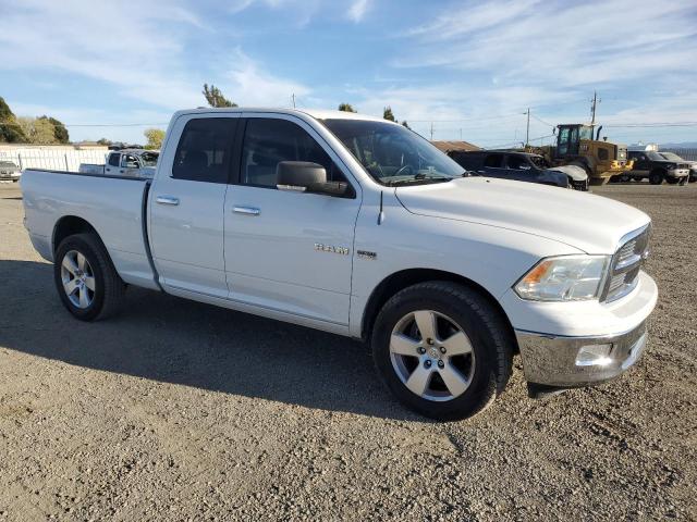 Photo 4 from auction – 2010 DODGE RAM 1500 with VIN 1D7RB1GT3AS246530