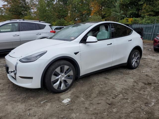 TESLA MODEL Y 2020 with VIN 5YJYGDEE4LF027654 - Photo from auction