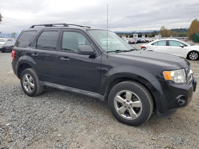 Photo 4 from auction – 2009 FORD ESCAPE XLT with VIN 1FMCU937X9KD00558