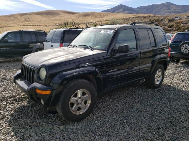 Photo 1 from auction – 2004 JEEP LIBERTY LI with VIN 1J4GL58K04W286132