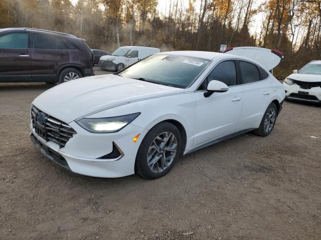 HYUNDAI SONATA SE 2021 with VIN 5NPEG4JA2MH063075 - Photo from auction