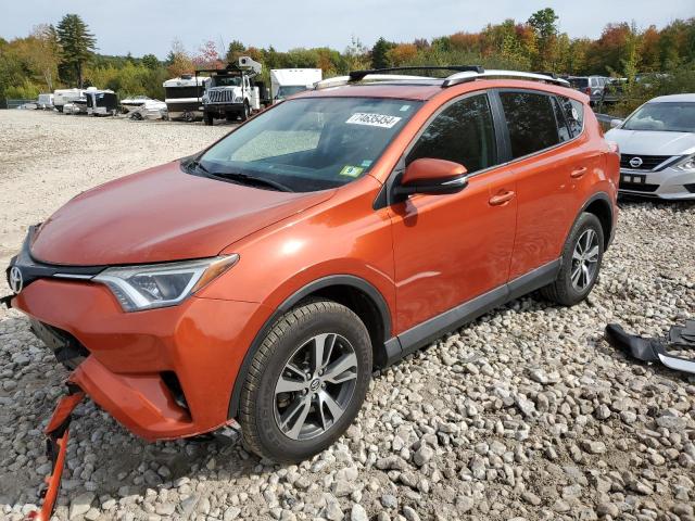 TOYOTA RAV4 XLE 2016 with VIN 2T3RFREV7GW464035 - Photo from auction